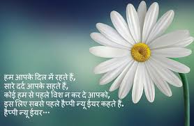happy new year shayari images, happy new year 2026 images shayari