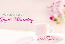 Good Morning Images Wallpaper