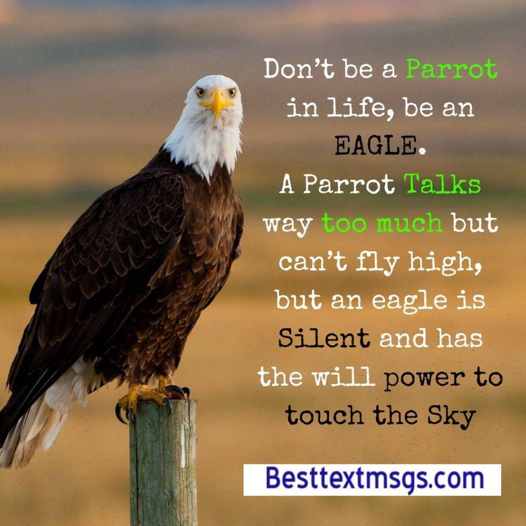 Eagle Images with Quotes