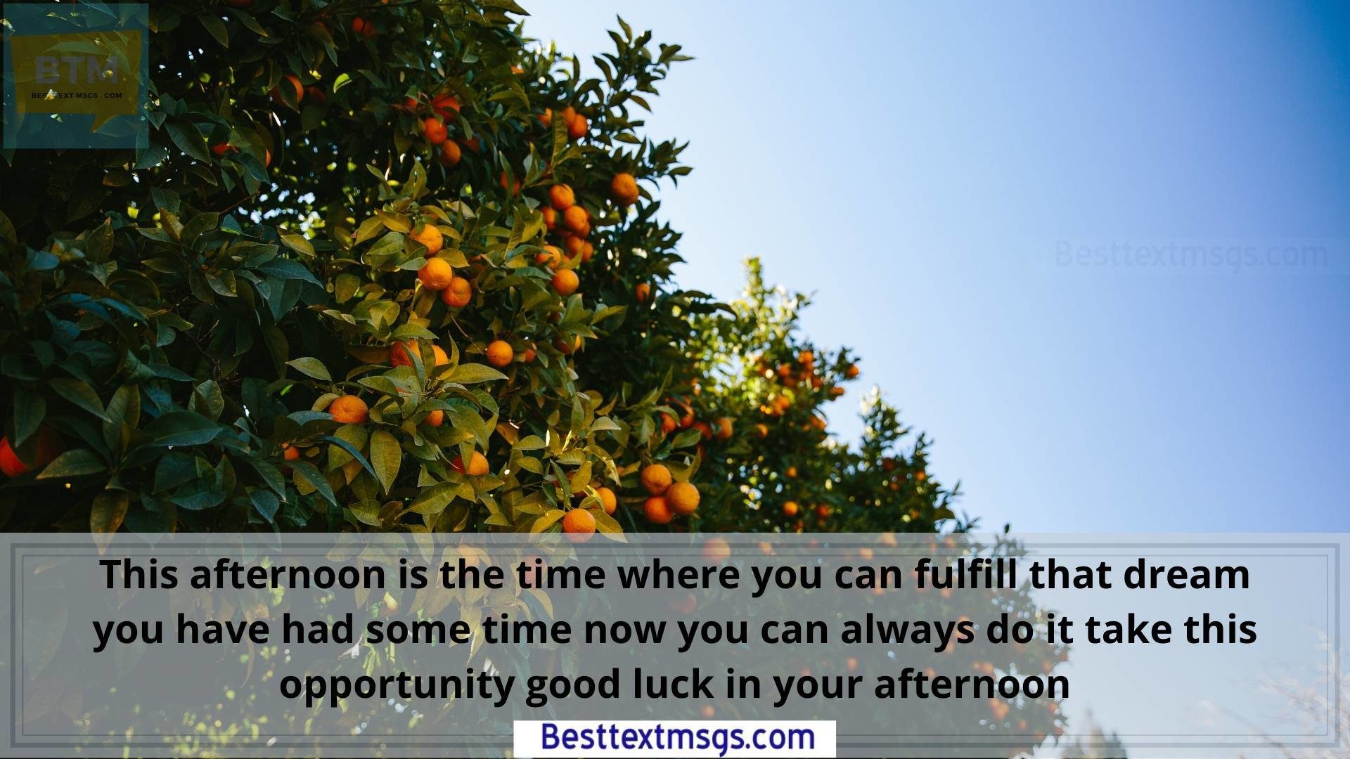 Afternoon has come to indicate you, Half of your day’s work is over, Just another half a day to go, Be brisk and keep enjoying your works, Have a happy noon!