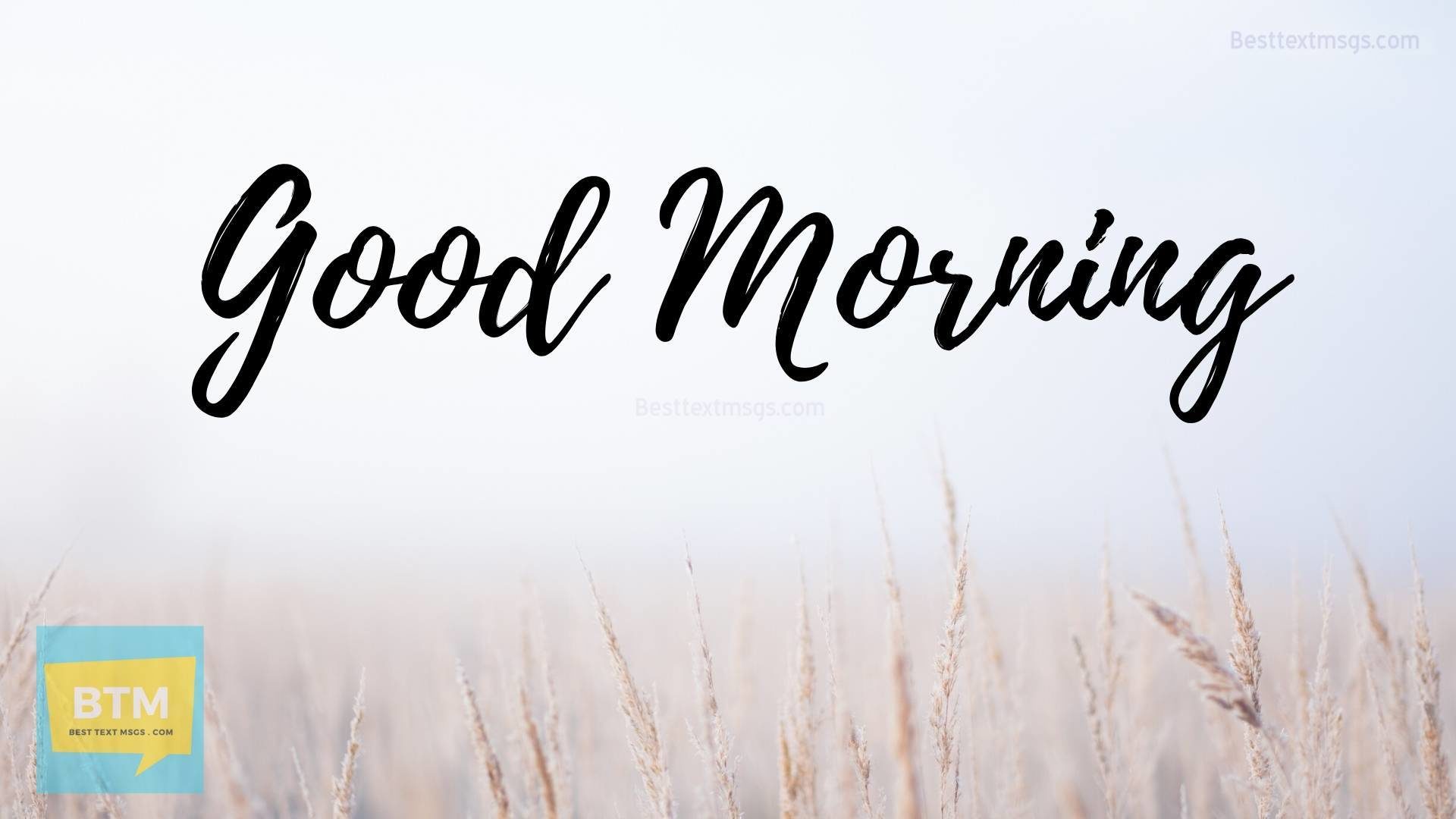 new good morning images hd