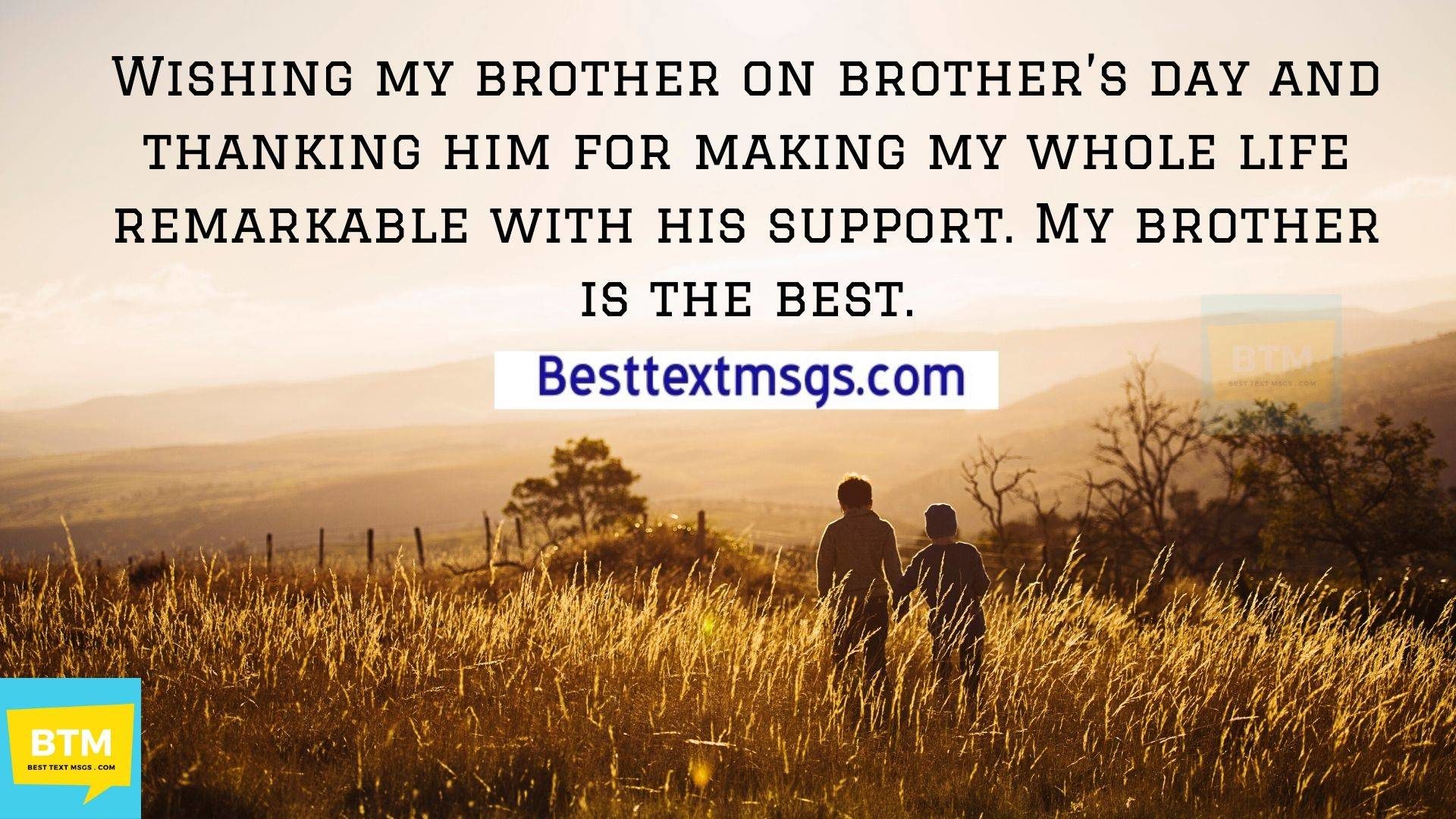 happy brothers day quote