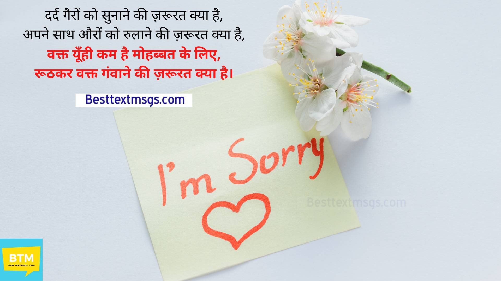 sorry shayari hindi