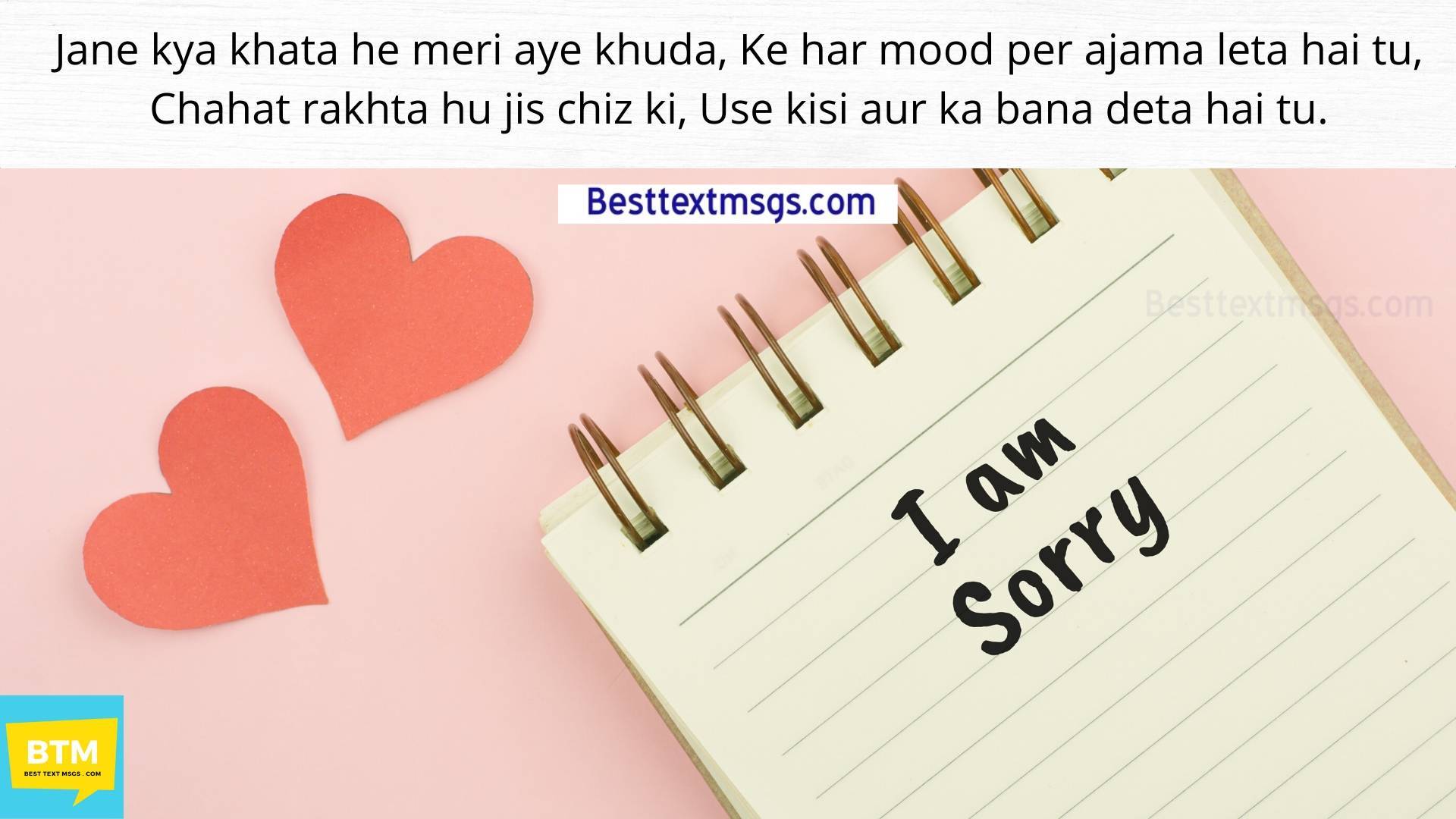 sorry hindi shayari