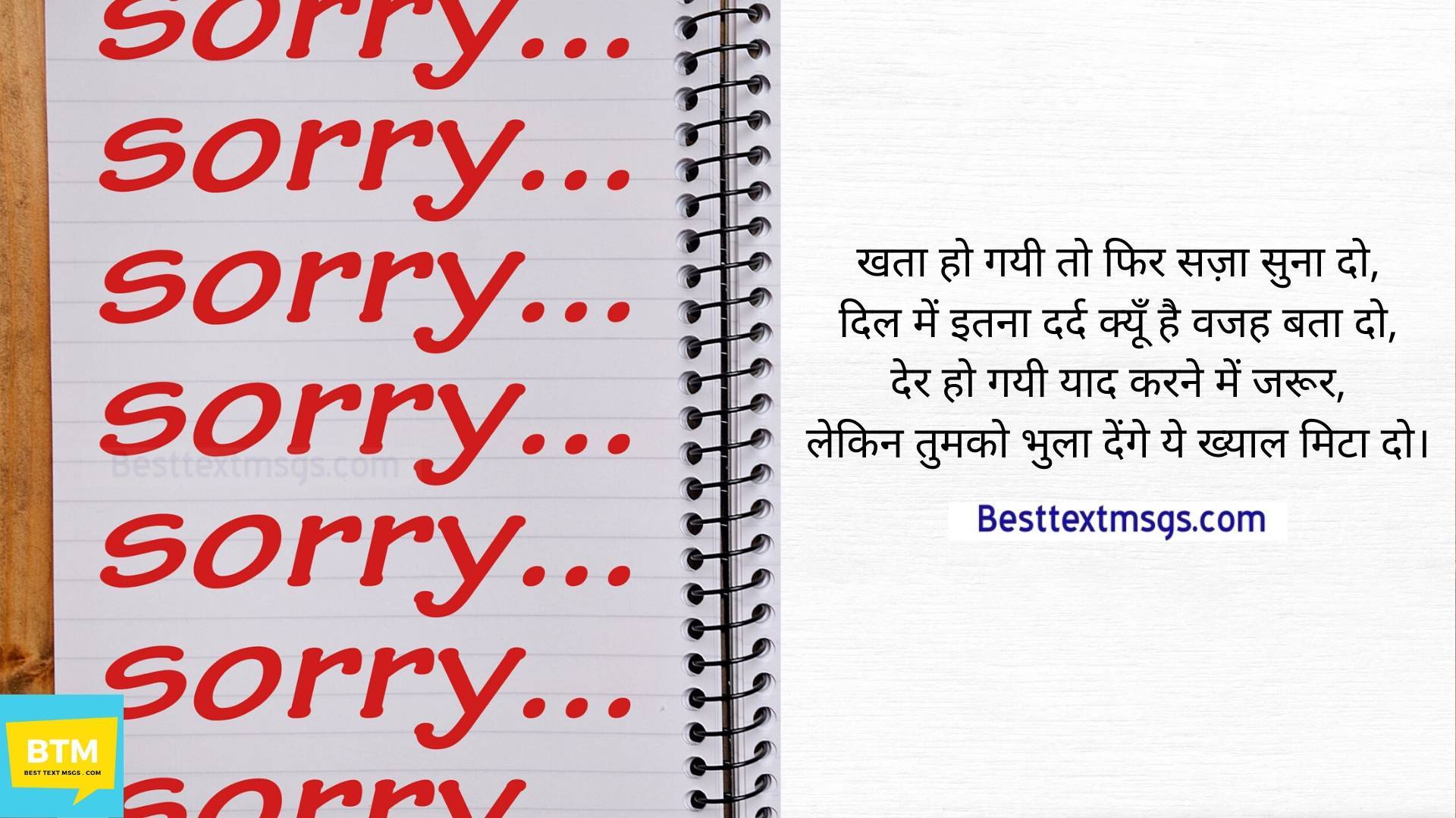 love sorry shayari