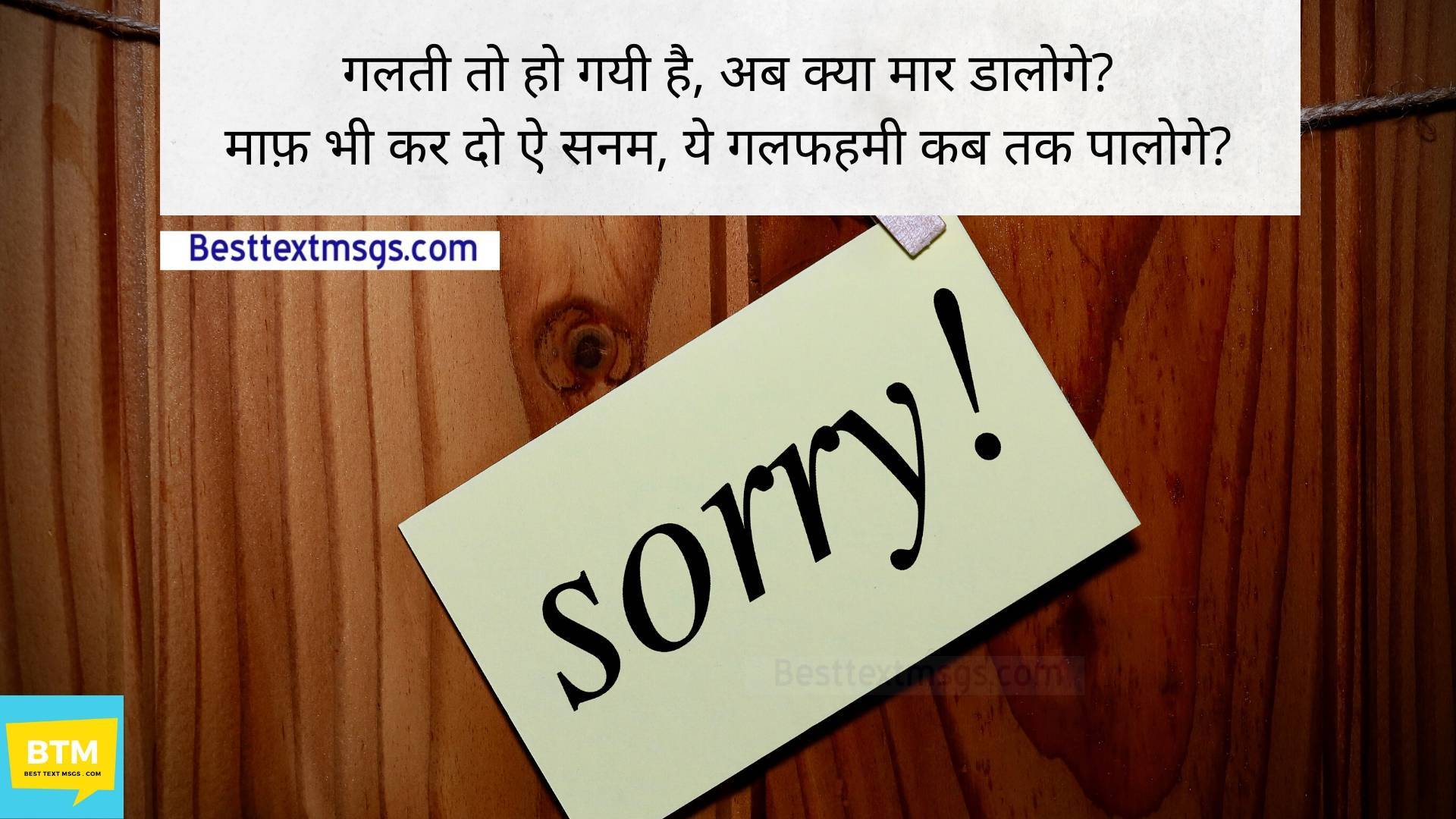 hindi sorry shayari