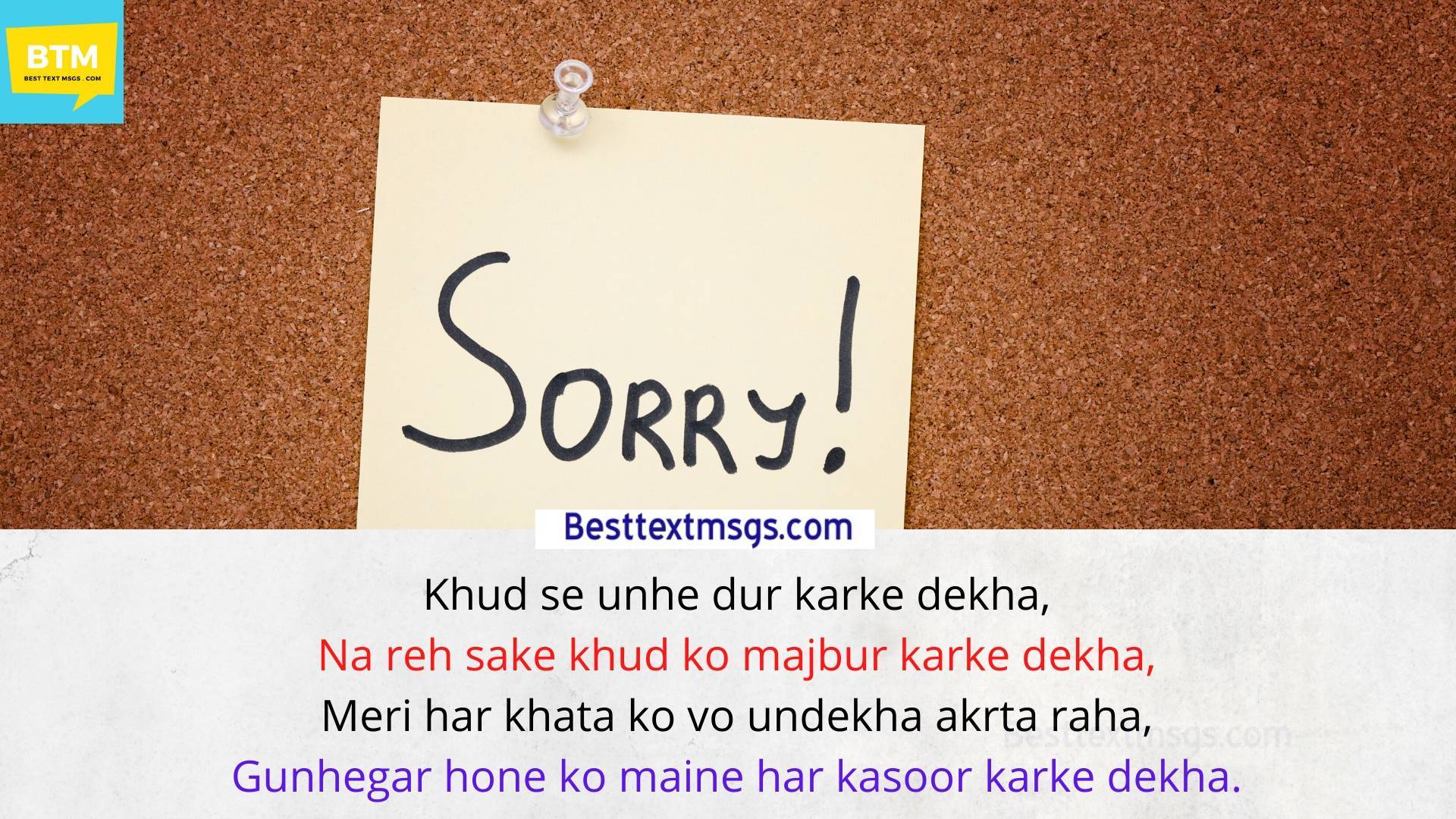 i am sorry shayari