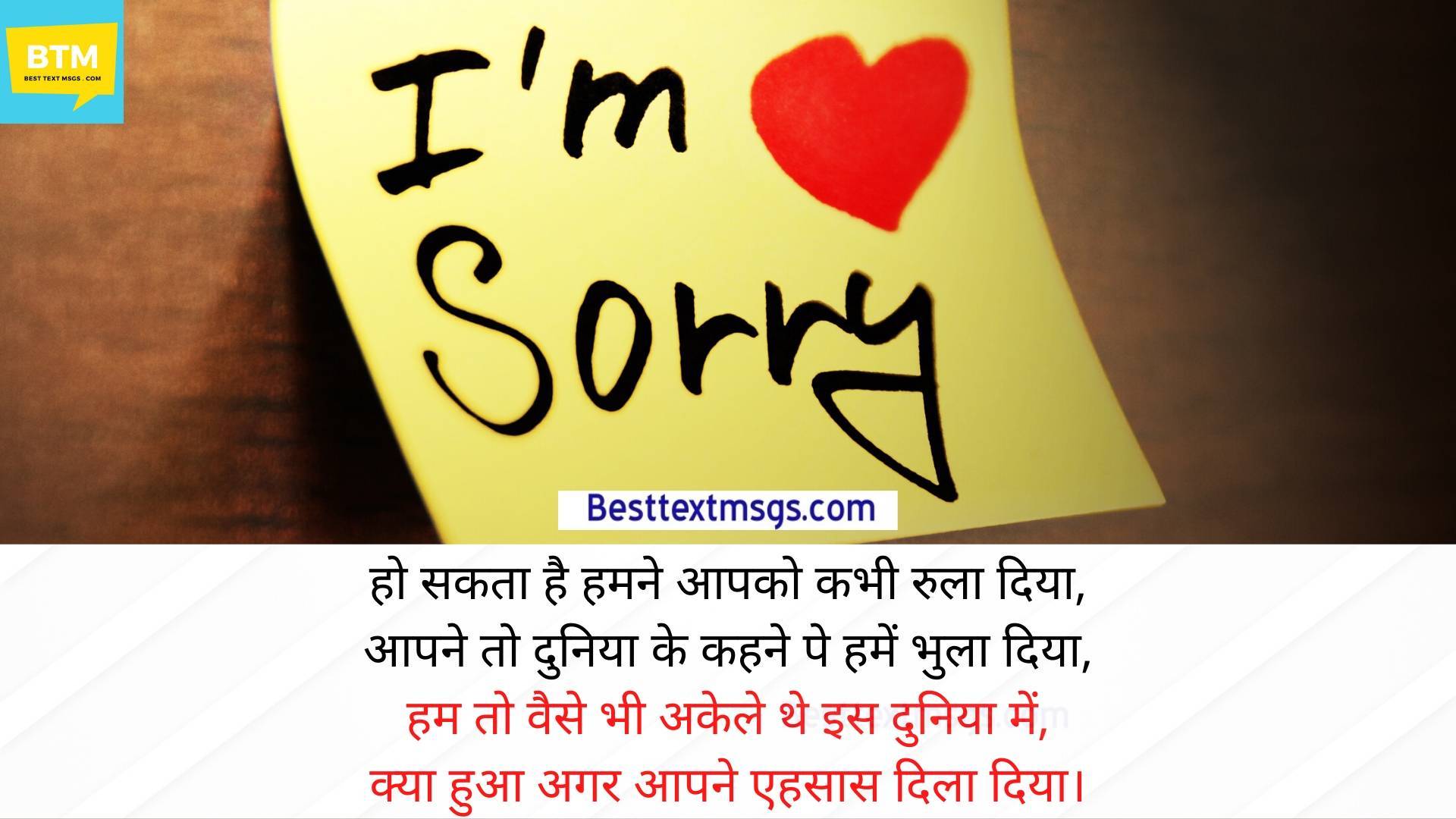 sorry shayari