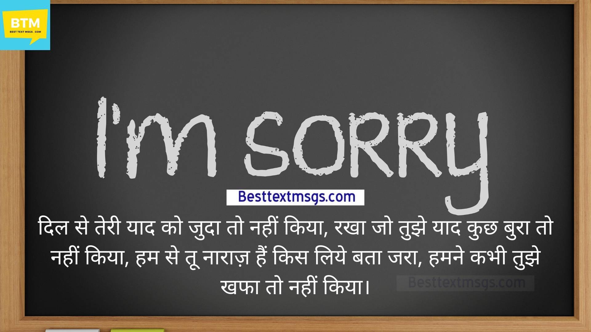 shayari on sorry