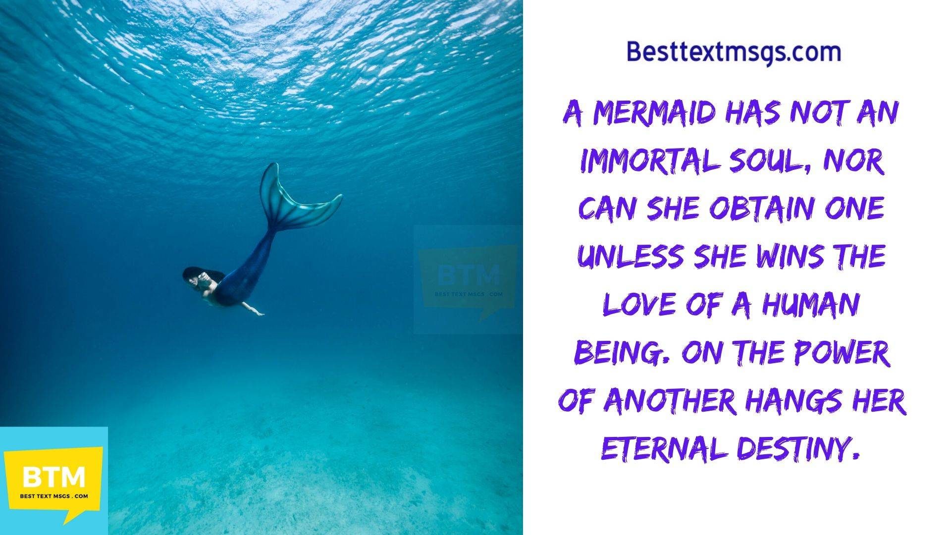 mermaid quotes and sayings