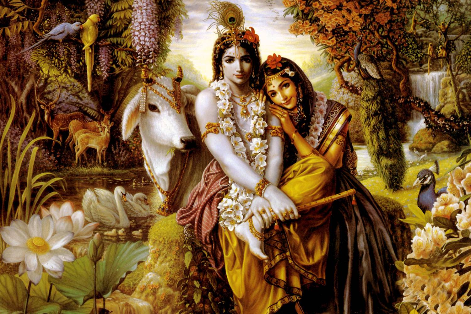 krishna hd wallpaper