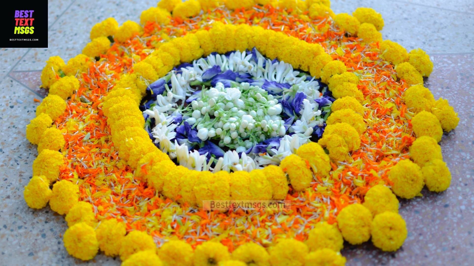 rangoli for Pongal