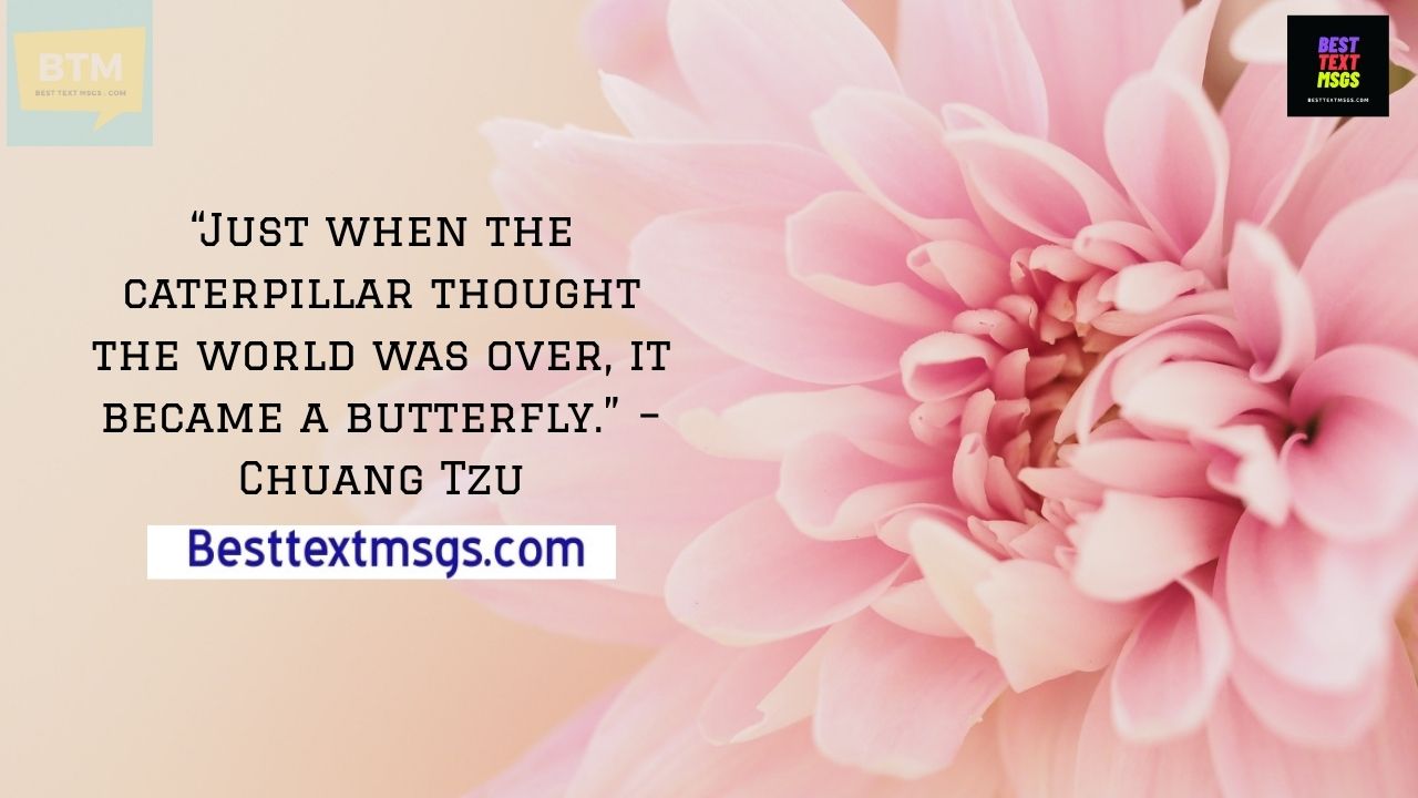 Short message for cancer patients